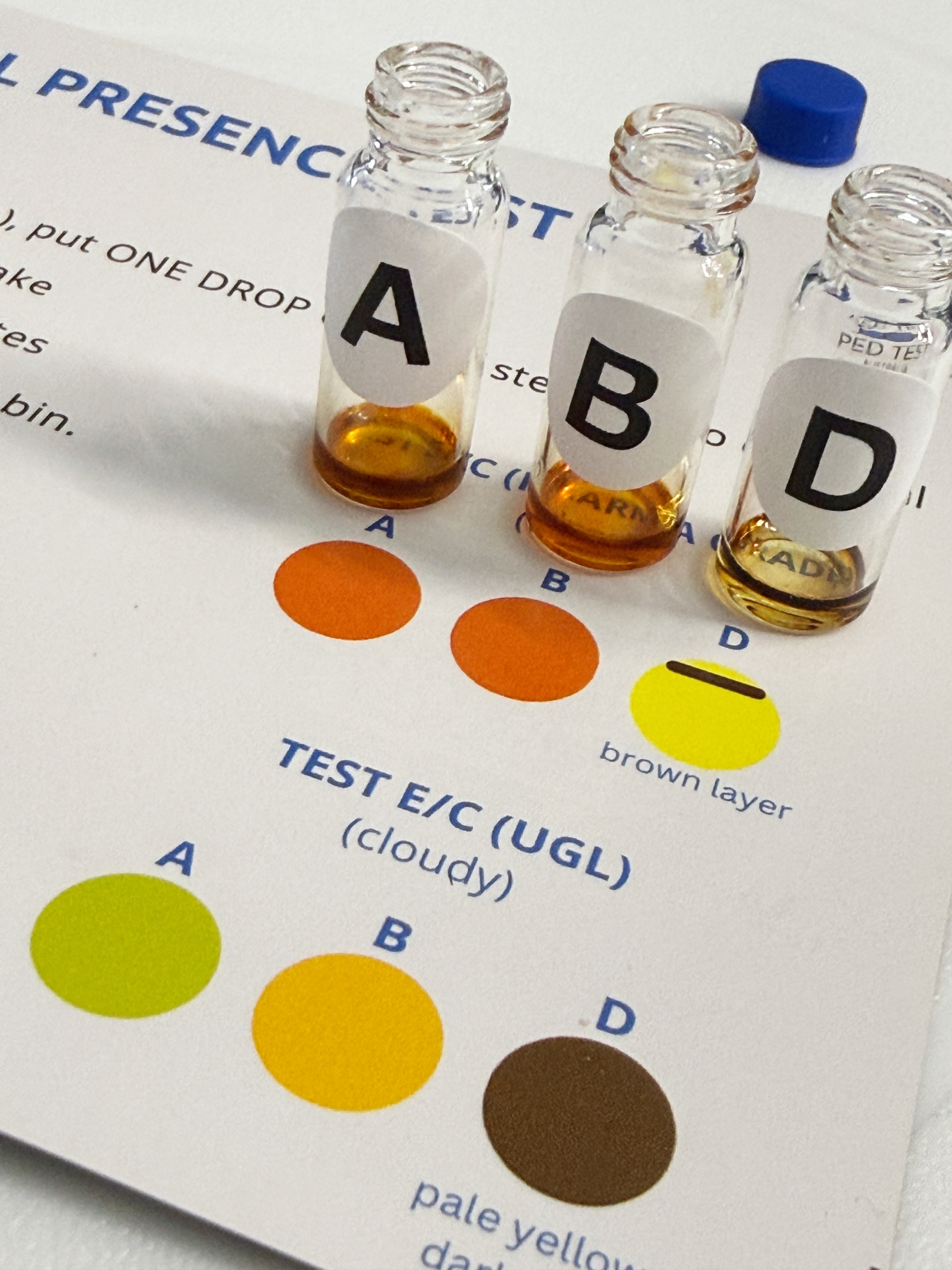 Quintrex Positive Test E Test Kit Result